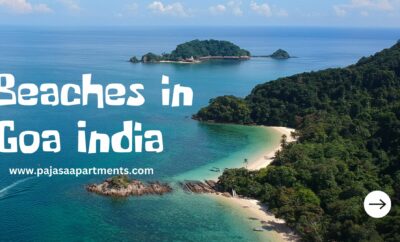 Beaches in Goa India