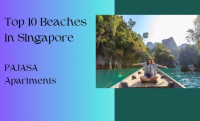 Top 10 Beaches in Singapore
