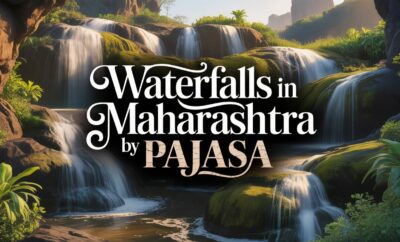 Waterfalls in Maharashtra Everyone Must Visit