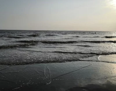 1 BHK Service Apartments in Miami